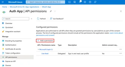 Add API Permission